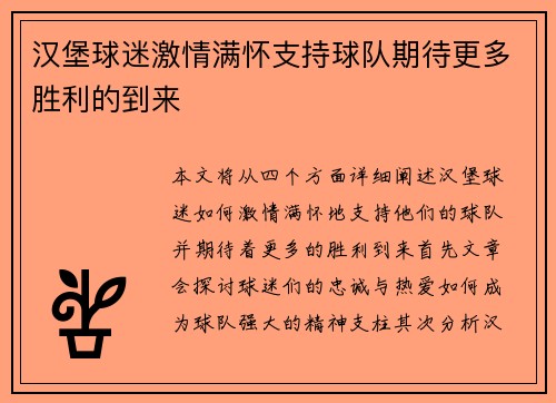 汉堡球迷激情满怀支持球队期待更多胜利的到来